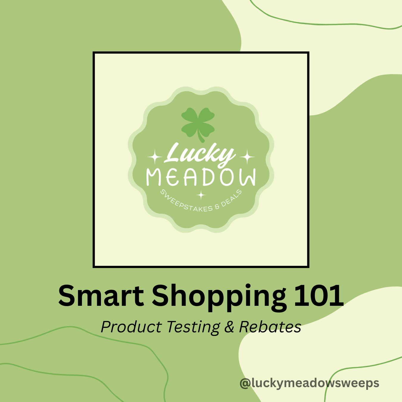 Smart Shopping 101: Product Testing & Rebates
